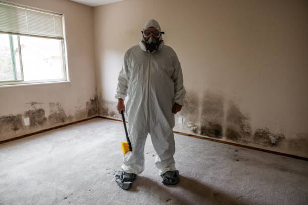 Best Mold Remediation  in Morganville, NJ